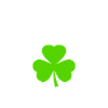 Trèfle d’Irlande