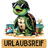 Turtle Ready for Holiday