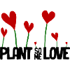 Herzengarten Rote Herzblumen
