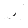 Pilates y Gatos Motivo de Relajación