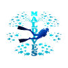 Malediven Blau Maldives Blue