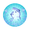 Delfin, Qualle Dolphin, Jellyfish