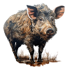 Wild boar