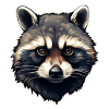 Raccoon head