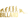 Evolution Billard