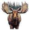 Elk