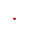 crevette