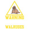 Walrus