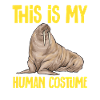 Walrus