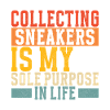Sneakerhead Collectionneur de baskets