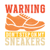 Sneakerhead Sneaker Collector