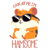 Hamsome Hamster