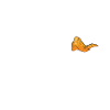 Chicken Wings Gifts