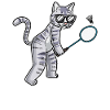 Funny badminton cat