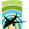 Aviation Airplane