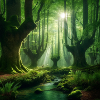 Wunderschöner Wald