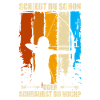 Shoot Arrow Bow Archery Archer