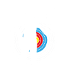 Bow and arrow Archery Archer