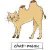 Cat meau