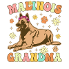 Malinois Granny Groovy Belge Malinois