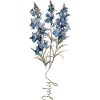 Blaues und weißes Blumendesign