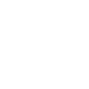 Der Labby Wars Hund