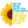 Ukraine sunflower seeds