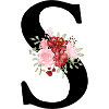 Roter Blumenbuchstabe S