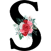 Roter Blumenbuchstabe S