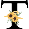 Sonnenblume Blumen T Brief