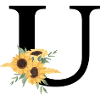 Letter u floral sunflower