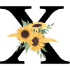 Letter x floral sunflower
