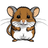 Dormouse