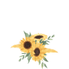 Letter v floral sunflower