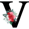Red Floral V Letter