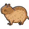 Capybara