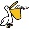Oiseau de proie