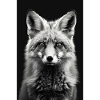 Fuchs
