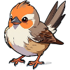 Junger Spatz