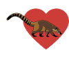 J’aime Coati - Coeur - Animal préféré