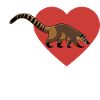 J’aime Coati - Coeur - Animal préféré