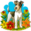 Foxterrier Hund im Garten