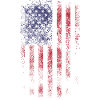 Usa Flag
