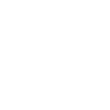 Camion