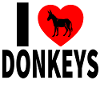 Donkey