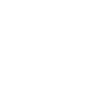 Excavatrice