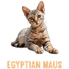 Egyptisk Mau Killing Kat Egyptisk Mau