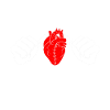 Bypass Surgery Surviving Dad