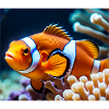 Clownfish