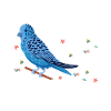 Budgerigar, Feathered Friend, Bird Watching